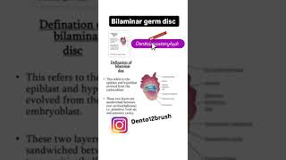 bilaminar layer germ disc dentalmasteryhub dentalstudenteducation dentist youtubeshorts [upl. by Jentoft]