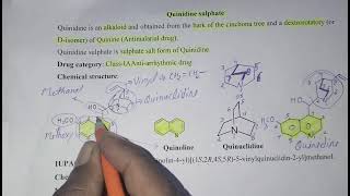 Quinidine sulphateantiarrhythmic drugiupac structure uses chemistry stability and storage bra [upl. by Suiravat736]