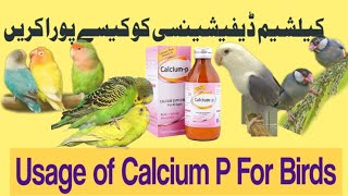 Breeding Season main Calcium P Syrup ka use [upl. by Nugesulo447]