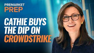 Ark Invests Cathie Wood Buys The Dip On CrowdStrike [upl. by Weatherley795]