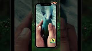 Free Flight Parrot🦜 ARYAN NIHAR M  shorts birds parrot funny trending yt cute love pets [upl. by Ziana]