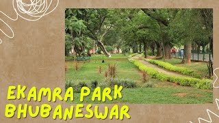 EkamraKanan botanical garden Jaydev Vihar  Bhubaneswar park [upl. by Rech]