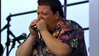 Paul deLay Band quotAll My Money Gonequot  the 95 Safeway Waterfront Blues Festival [upl. by Ynoyrb374]