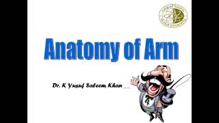 Anatomy of the ARM  Lecture  Dr Yusuf [upl. by Nasaj]