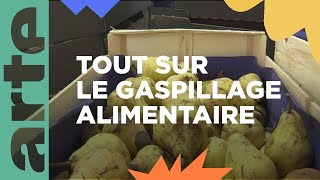 Dossier  le gaspillage alimentaire  ARTE [upl. by Vin]