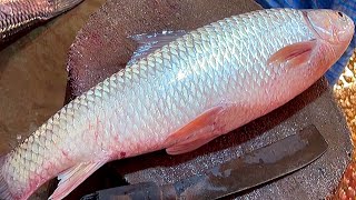 All Fish Cutting Skill  Mrigal Rohu Katla amp Hilsa Fish Cutting By Expert Fish Cutter [upl. by Solracsiul]