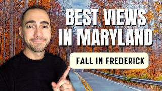 BEST Things to Do in Frederick Maryland this FALL 2024 [upl. by Sivram617]