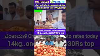 today Kolar tomato rates Chintamani tomato rates Kolar Chintamani Tomato rates today Venu7tv [upl. by Stimson]