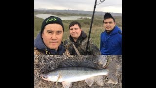 Судак на джиг рыбалка в Алматинской области Fishing TDK [upl. by Nilkoorb]