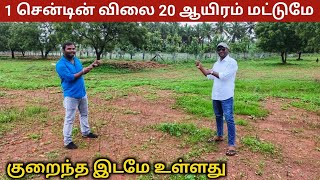 🔴1 சென்ட் வெறும் 🤯 20 ஆயிரம் மட்டுமே Low budget land for sale [upl. by Ennyleuqcaj941]