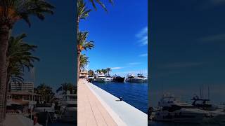 ⛴️ Puerto Portals Playas Mallorca 🏖beach playasdemallorca short [upl. by Nile]