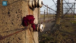 Auschwitz 75 anni dopo queste immagini mettono ancora i brividi  Insider Italiano [upl. by Isacco]