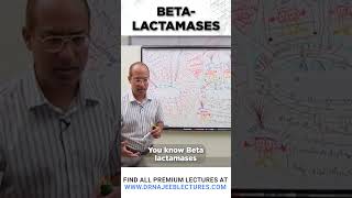 Beta Lactamases drnajeeb drnajeeblectures shortvideostatus [upl. by Hamel]