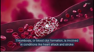 How oleic acid inhibits platelet activation to delay blood clot formation [upl. by Osithe]