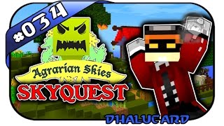 MINECRAFT SKYQUEST 034  WAS SOLL DAS BALUI  mit Earliboy und Balui  Dhalucard [upl. by Tye457]