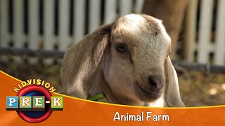 Animal Farm  Virtual Field Trip  KidVision PreK [upl. by Orestes]