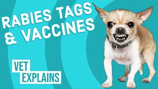 Rabies Vaccine amp Tag [upl. by Pinelli]