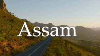 Assam  Nisha Tour amp Travels AssamTourism IncredibleIndia ExploreAssam VisitAssam TravelIndia [upl. by Jarita712]