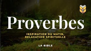 ProverbesInspiration du matin biblevision [upl. by Allegna]