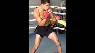 Xander Zayas Training Showing Massive Boxing Skillsboxing boxeo training fyp [upl. by Anauqcaj450]