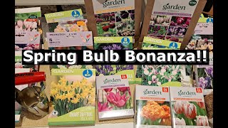 Spring Bulbs  What Ive bought and where i bought them from [upl. by Annoit]