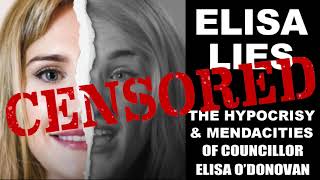 Elisa Lies YouTube Complies My response to false defamation claim [upl. by Onilecram345]