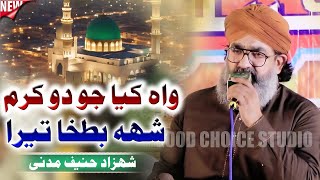 Wah Kya Jo Do Karam Hai  MShahzad Hanif Madni  Naat 2024 [upl. by Nothgiel]