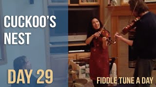 Cuckoos Nest  Fiddle Tune a Day  Day 29 [upl. by Jacey]