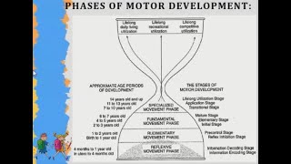 Gross Motor Development according to Gallahues Hourglass Model [upl. by Eitsym236]