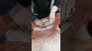 Learn the fastest way to fillet salmon [upl. by Iel506]