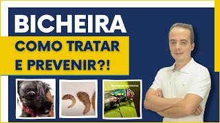 Miíase ou BICHEIRA em cães Como tratar e prevenir [upl. by Nemsaj]