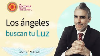 LOS ÁNGELES BUSCAN TU LUZ  André Malak [upl. by Pazice]