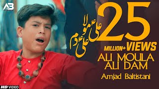 ALI MOLA ALI DAM DAM  AMJAD BALTISTANI  Official Video  TNA RECORDS [upl. by Nwahsad]