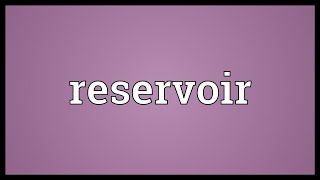 Reservoir Meaning [upl. by Neltiak]