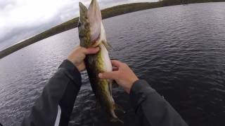 Lake Shohola Pickerel Fishing [upl. by Newlin]