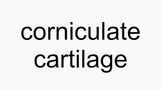 How to pronounce corniculate cartilage [upl. by Nhguahs]