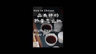 How to Choose Aged Puerh Tea 怎么选择普洱老茶？agedpuerhtea [upl. by Yarod226]