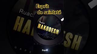 Esprit de sainteté ruach gospel music agape usa audio france [upl. by Dianemarie]