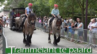 trammelant zonder tram in de haan [upl. by Tatman]