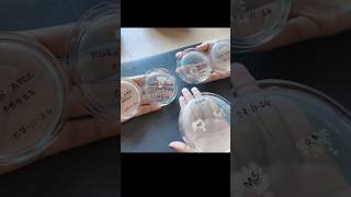 Bacterial Culture Microbiology  Biotechnology [upl. by Nawat]