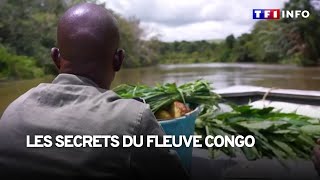 À la découverte des secrets du fleuve Congo [upl. by Jaan]