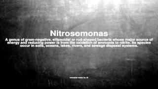 Medical vocabulary What does Nitrosomonas mean [upl. by Neelyad]