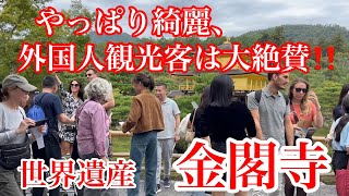 2024年10月27日 やっぱり綺麗、金閣寺の美しさに外国人観光客は大絶賛‼️ Kinkakuji Temple 【4K】Touring Kyoto [upl. by Kamal154]