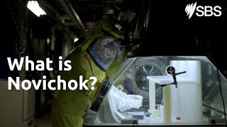 What is Novichok  The Sailsbury Poisonings  SBS and On Demand [upl. by Adah]