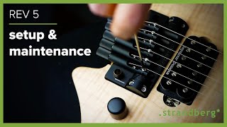 Strandberg Setup amp Maintenance Rev 5 hardware [upl. by Niawtna]