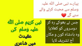 noor e muhumedsalam ya mustafadarood o salamnaat poetry [upl. by Ursa755]