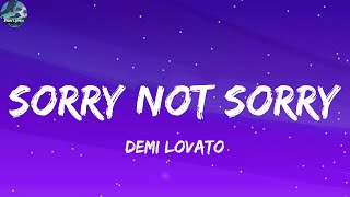 Demi Lovato  Sorry Not Sorry Lyrics [upl. by Wolbrom581]