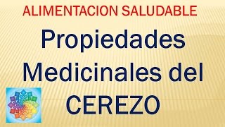 Propiedades Medicinales del CEREZO [upl. by Airednaxela414]