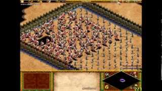 80 paladines vs 100 alabarderos  Age of empires II the conquerors [upl. by Chemaram]