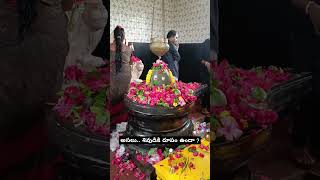 Shiva shivalingam devotional srisailam telugu eshwara temple mistry garikapati new [upl. by Teeniv]